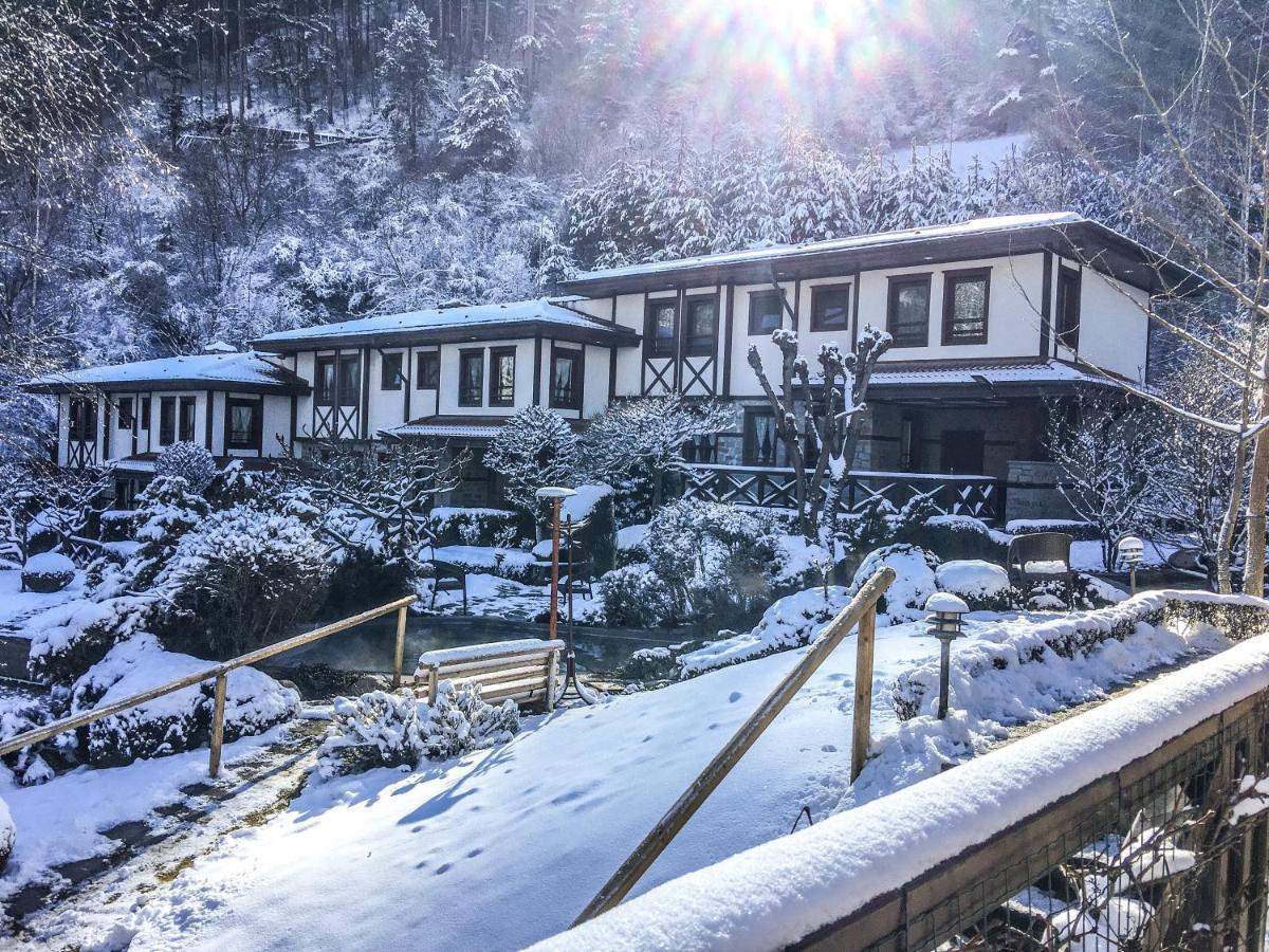 Spa Hotel Ismena Dewin Exterior foto